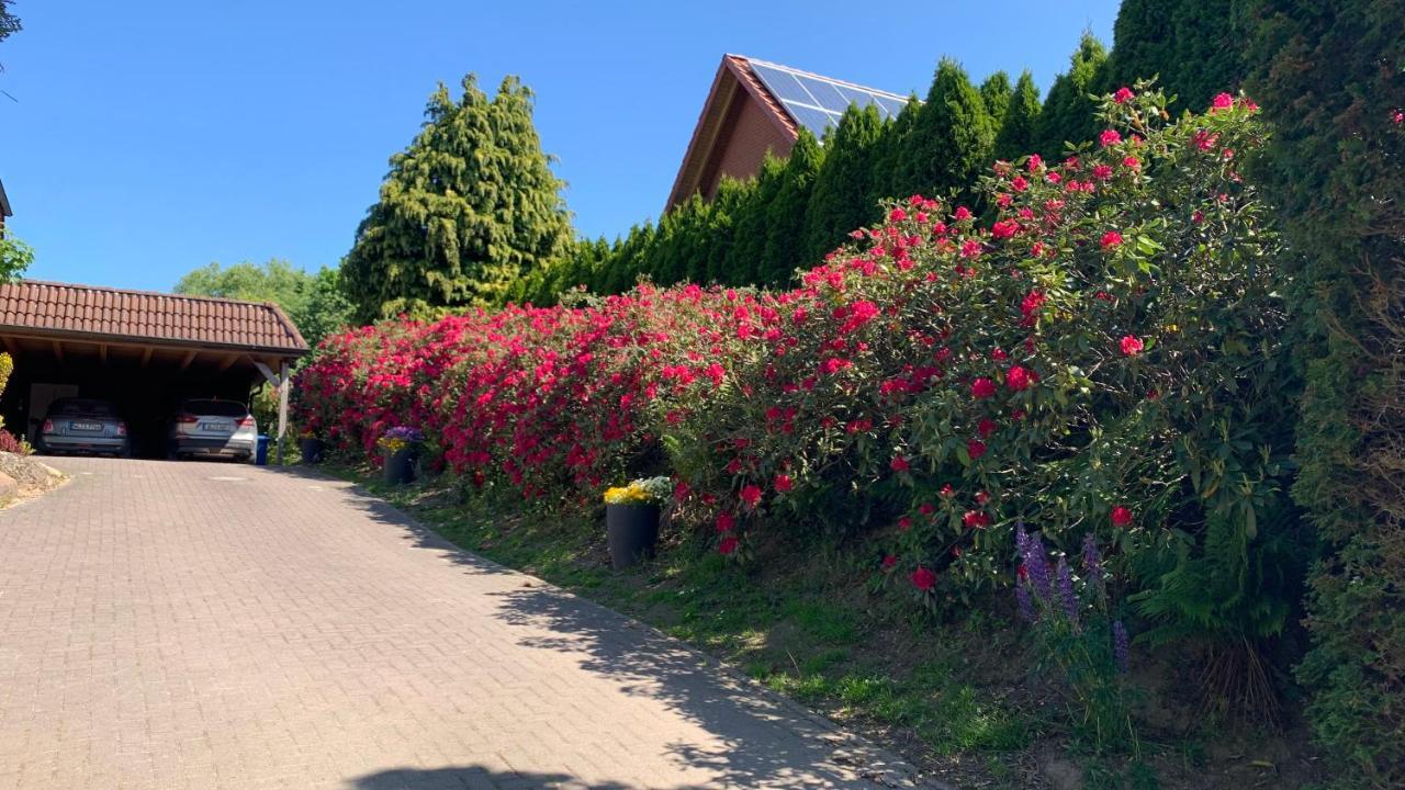 Ferienwohnung Schmidt Rosengarten  ภายนอก รูปภาพ